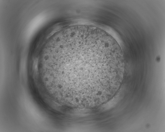 X0000116761150201001281606