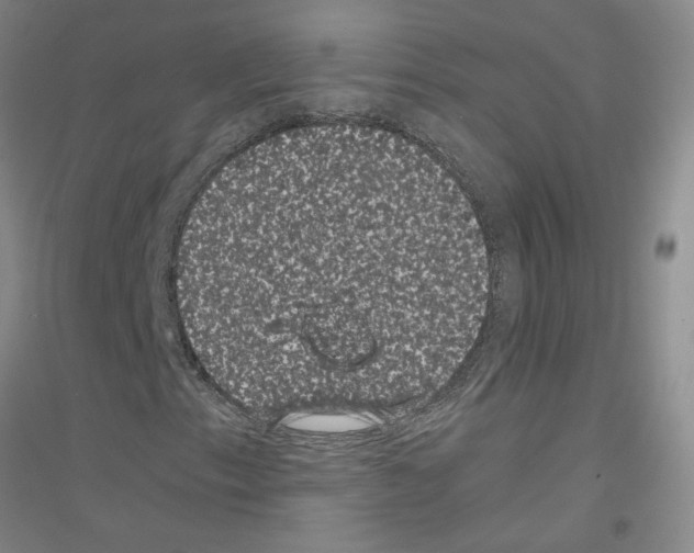 X0000116761153201001281606