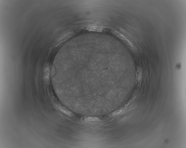 X0000116761154201001281606