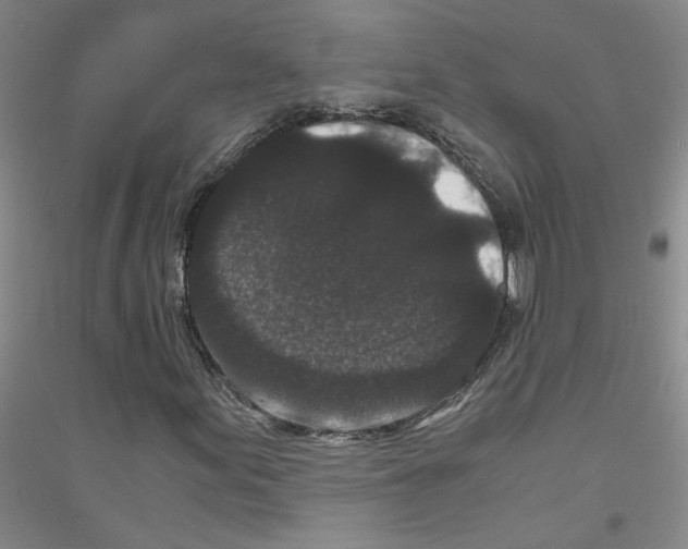 X0000116761155201001281606