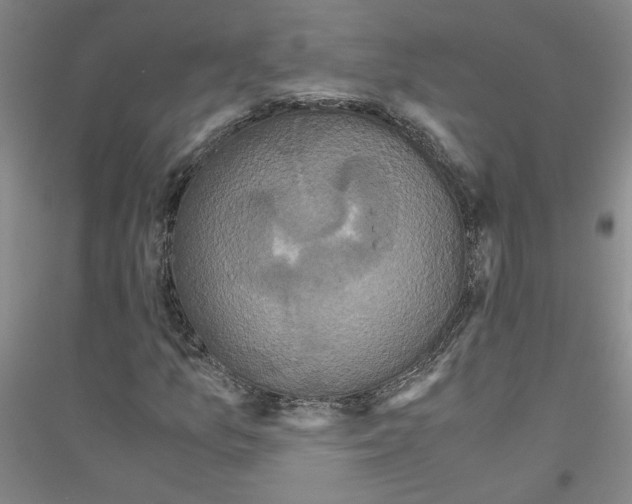 X0000116761157201001281606