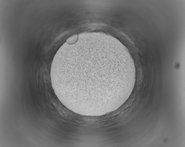 X0000116761158201001281606