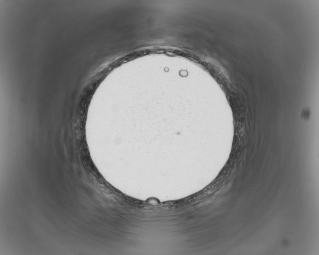 X0000116761159201001281606