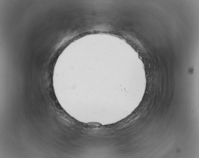 X0000116761160201001281606