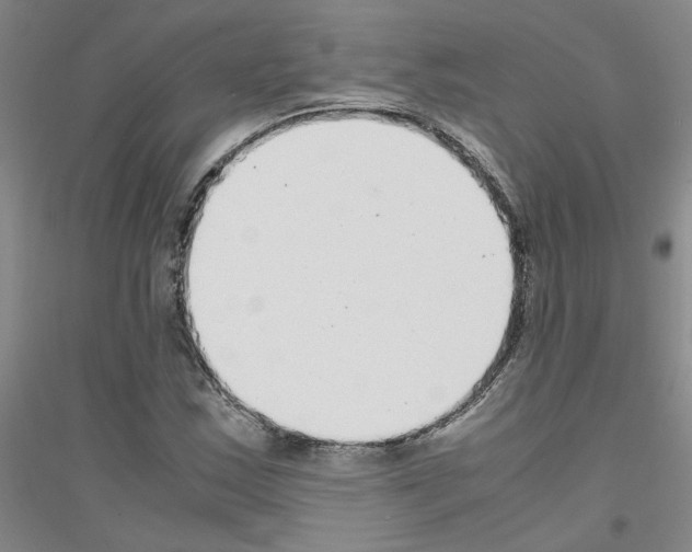 X0000116761163201001281606