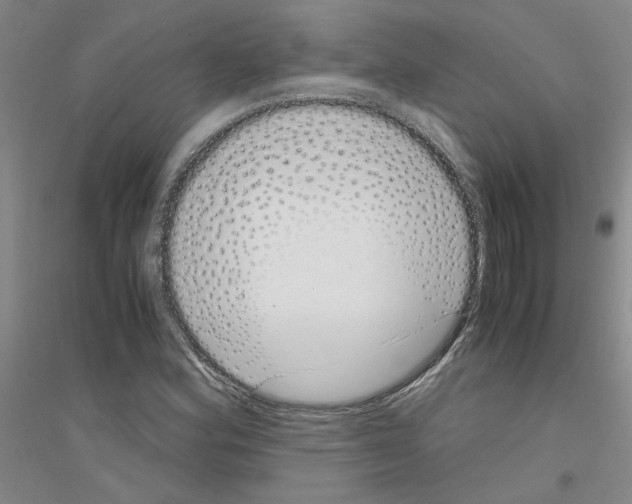 X0000116761164201001281606