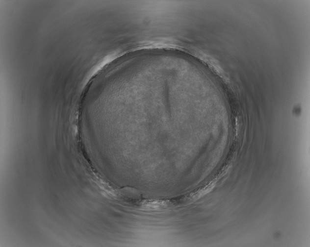 X0000116761165201001281606