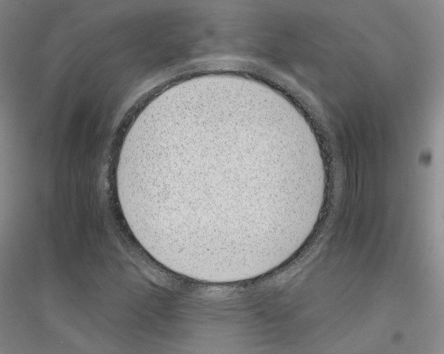 X0000116761166201001281606