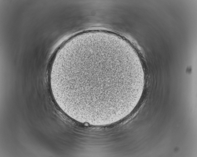 X0000116761167201001281606