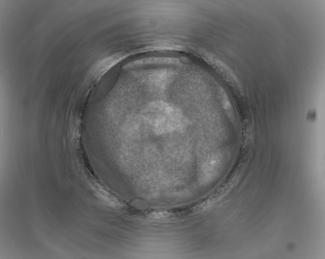 X0000116761169201001281606