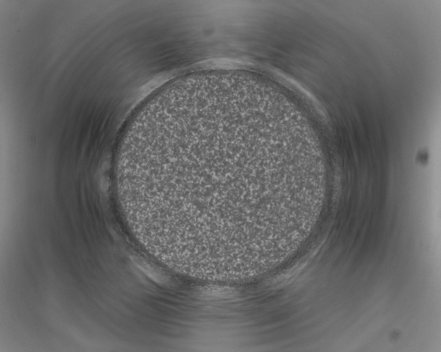 X0000116761170201001281606