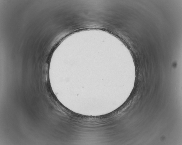 X0000116761171201001281606