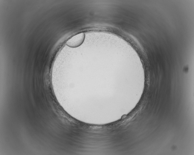 X0000116761172201001281605