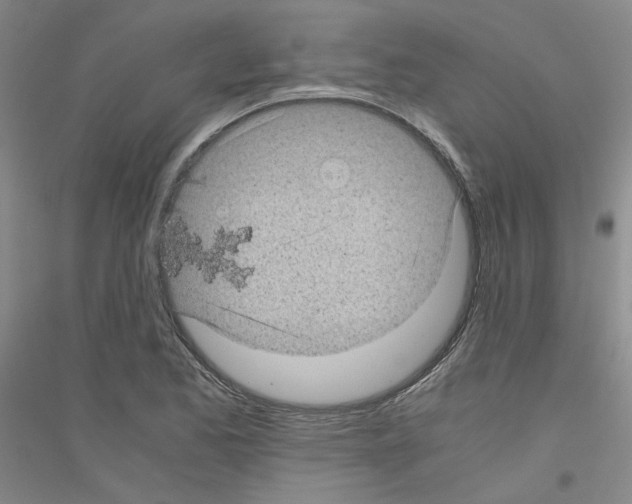 X0000116761173201001281605