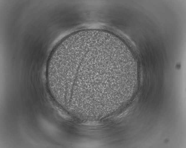 X0000116761174201001281605