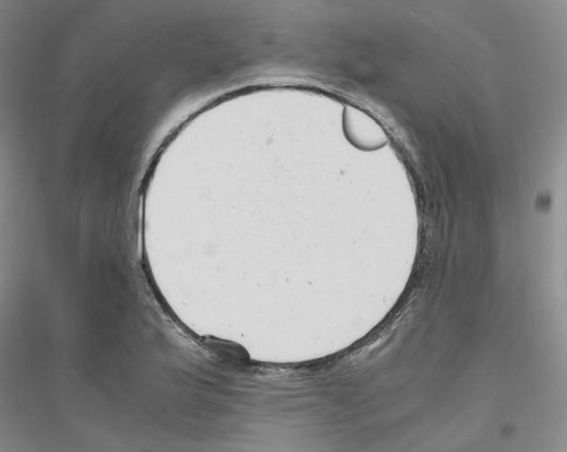 X0000116761175201001281605