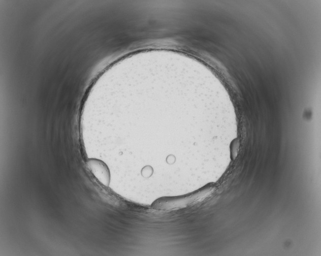 X0000116761176201001281605