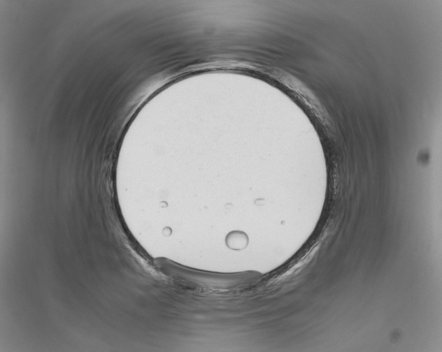 X0000116761177201001281605