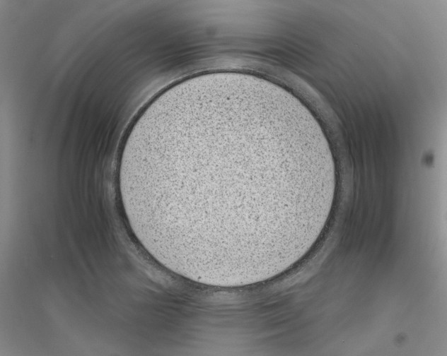 X0000116761178201001281605