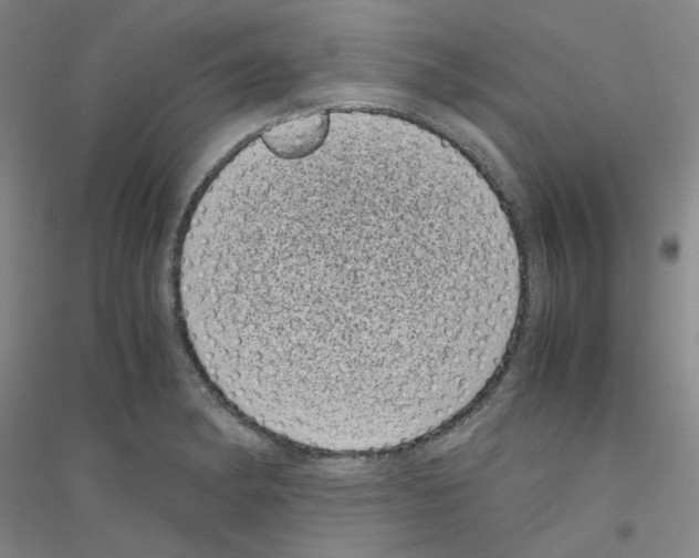 X0000116761182201001281605