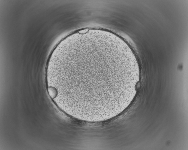 X0000116761183201001281605