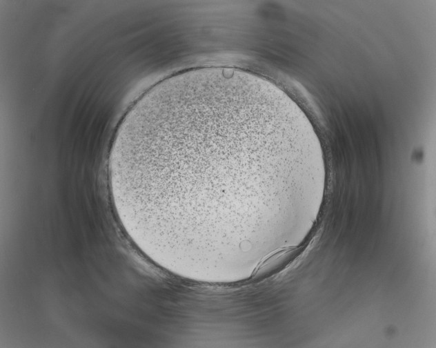 X0000116761184201001281605