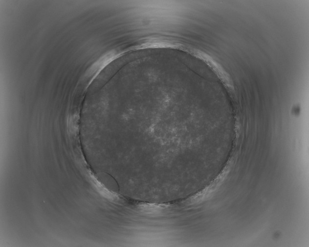 X0000116761185201001281605