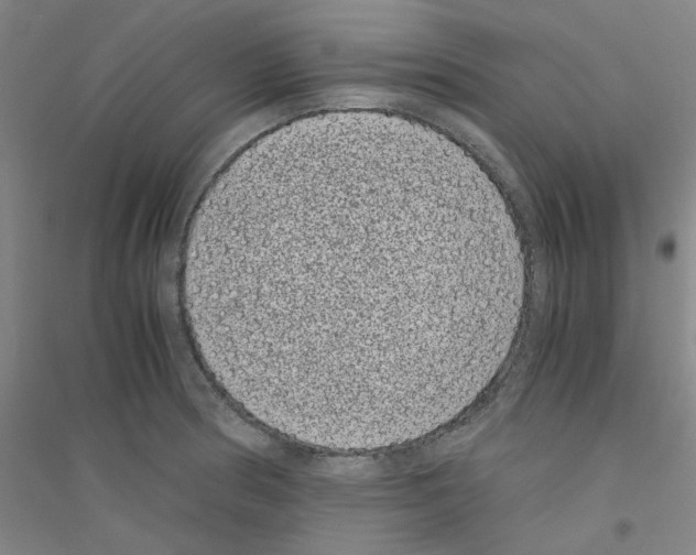 X0000116761186201001281605