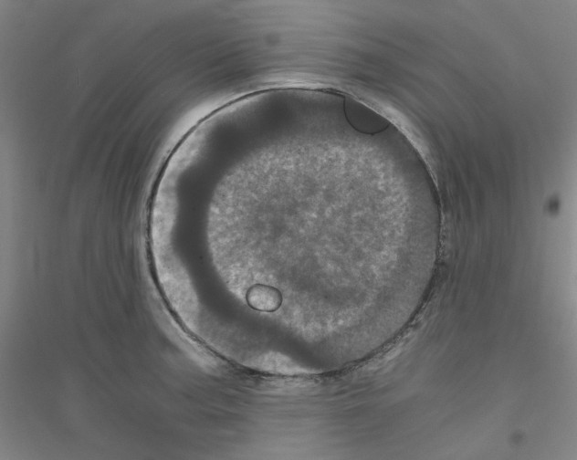 X0000116761187201001281605