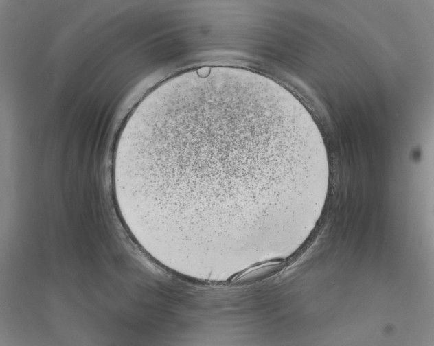 X0000116761188201001281605