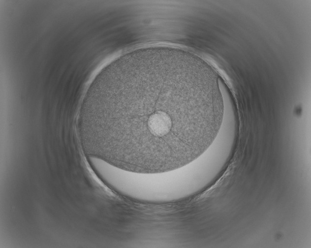 X0000116761189201001281605