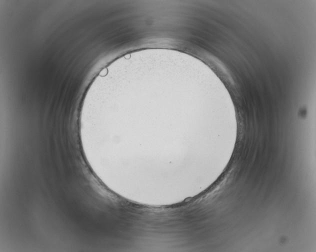 X0000116761192201001281605