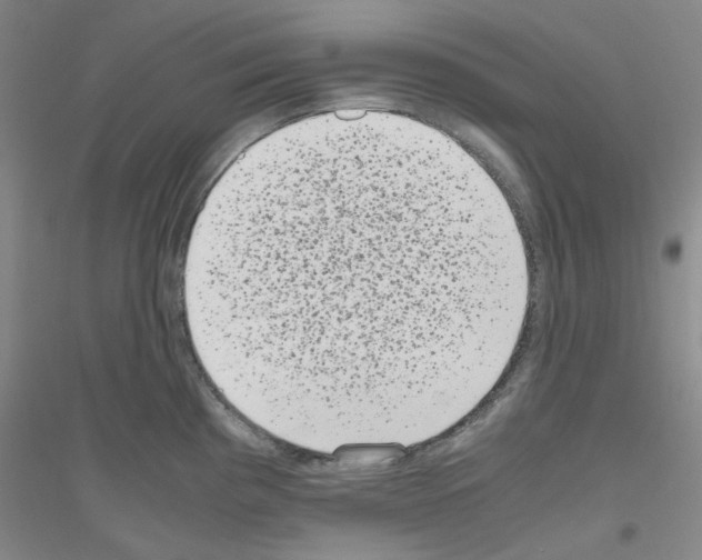 X0000116761193201001281605