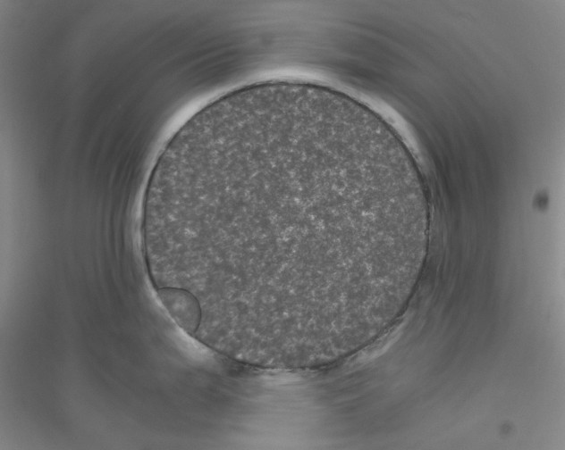 X0000116761199201001281605