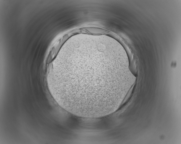 X0000116761200201001281605