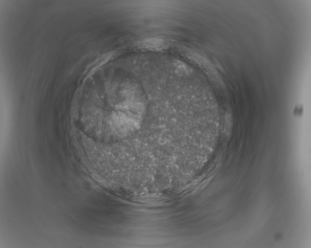 X0000116761201201001281604