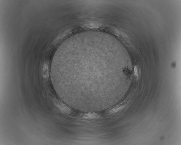 X0000116761203201001281604