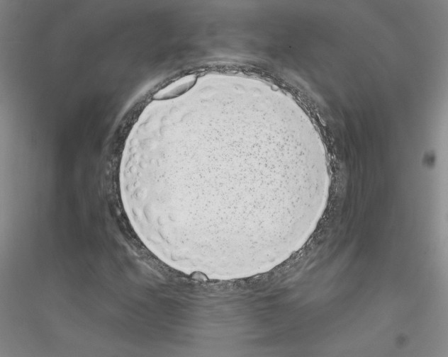 X0000116761208201001281605