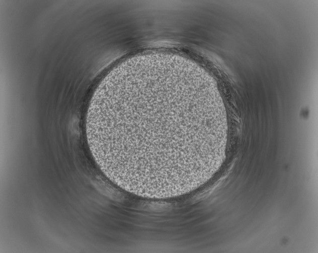 X0000116761209201001281605