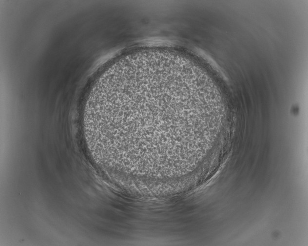 X0000116761213201001281605