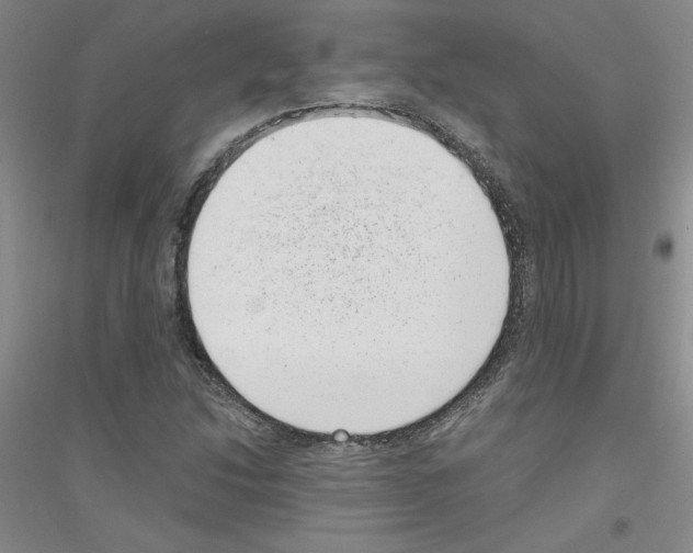 X0000116761214201001281605