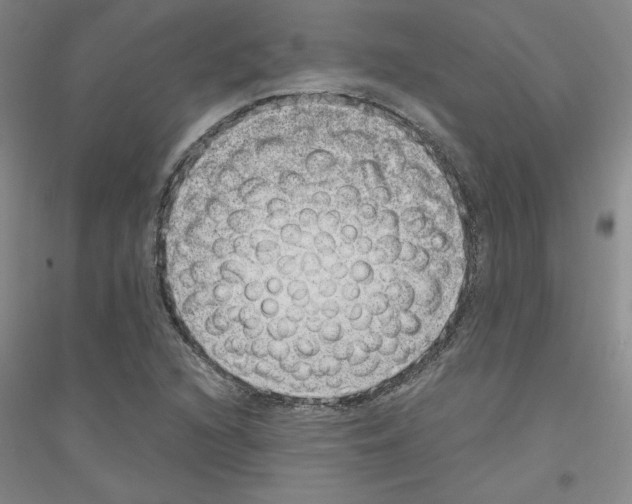 X0000116761216201001281605