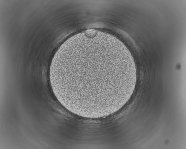 X0000116761217201001281605