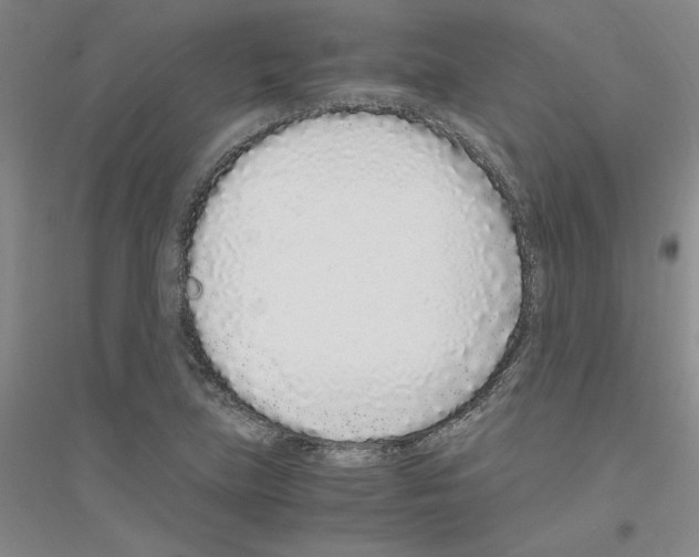 X0000116761219201001281605