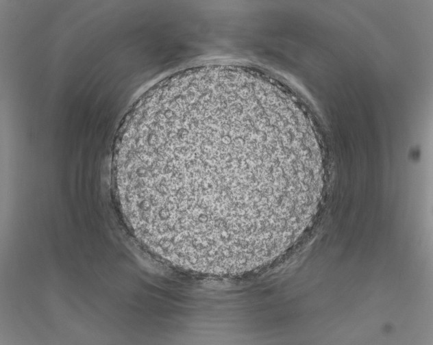 X0000116761220201001281605