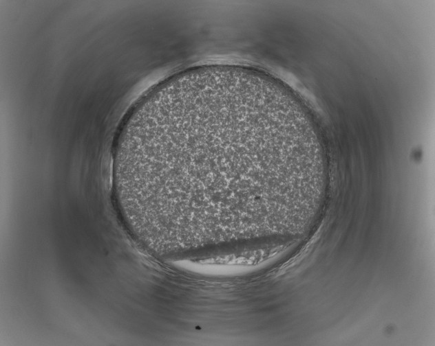 X0000116761221201001281605