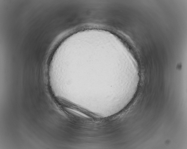 X0000116761223201001281605