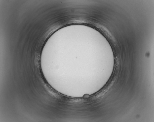 X0000116761225201001281605