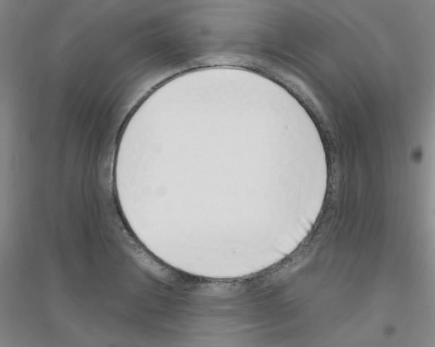 X0000116761228201001281605