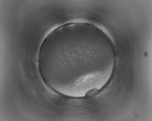 X0000116761229201001281605